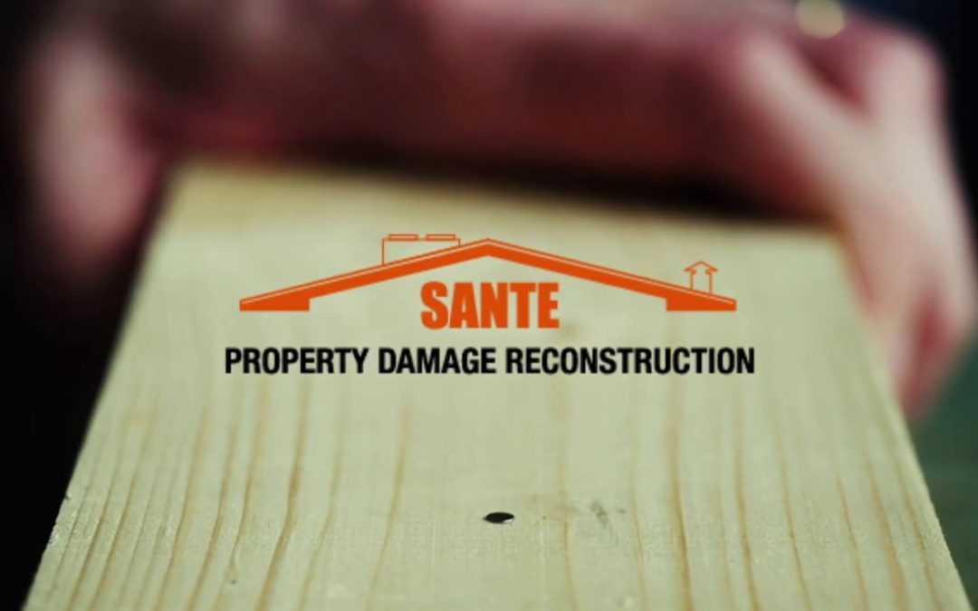 SANTE Damage Reconstruction Commercial